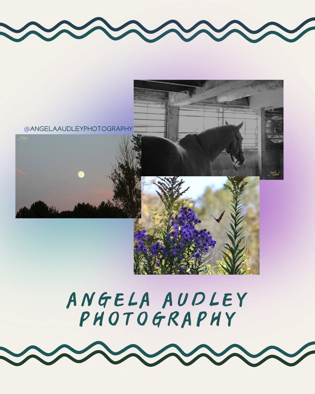 Angela Audley Photography (@angelaaudleyphotography)